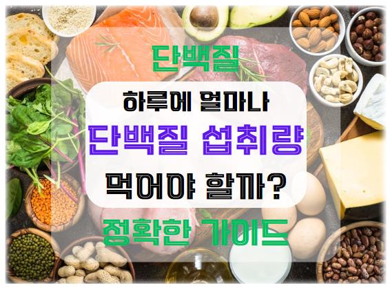 단백질 섭취량: 하루에 얼마나 먹어야 할까? 정확한 가이드