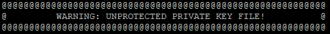 WARNING: UNPROTECTED PRIVATE KEY FILE!
