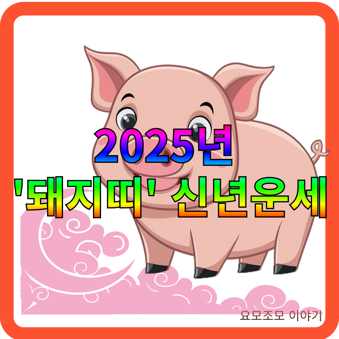 돼지띠-운세-신년-운세