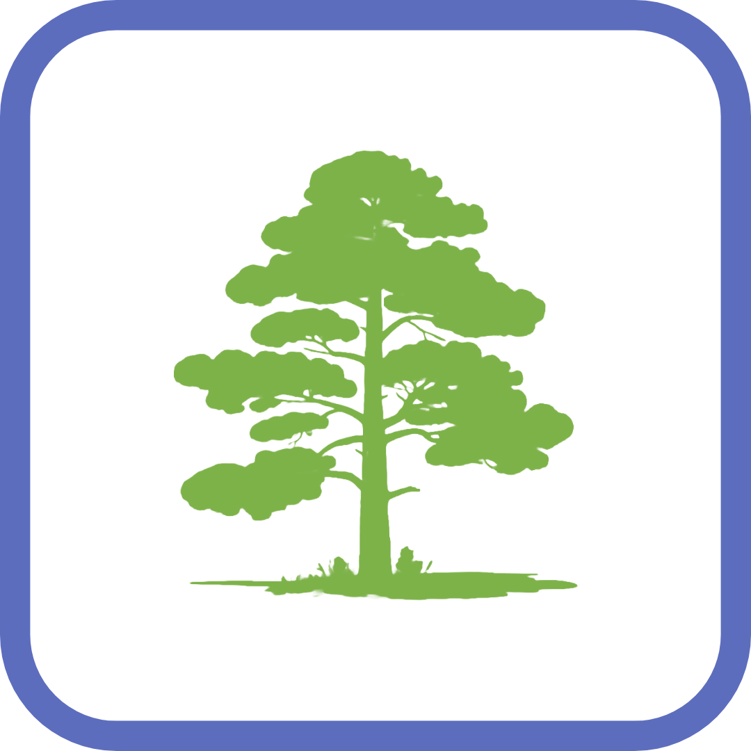 생명나무의-소망