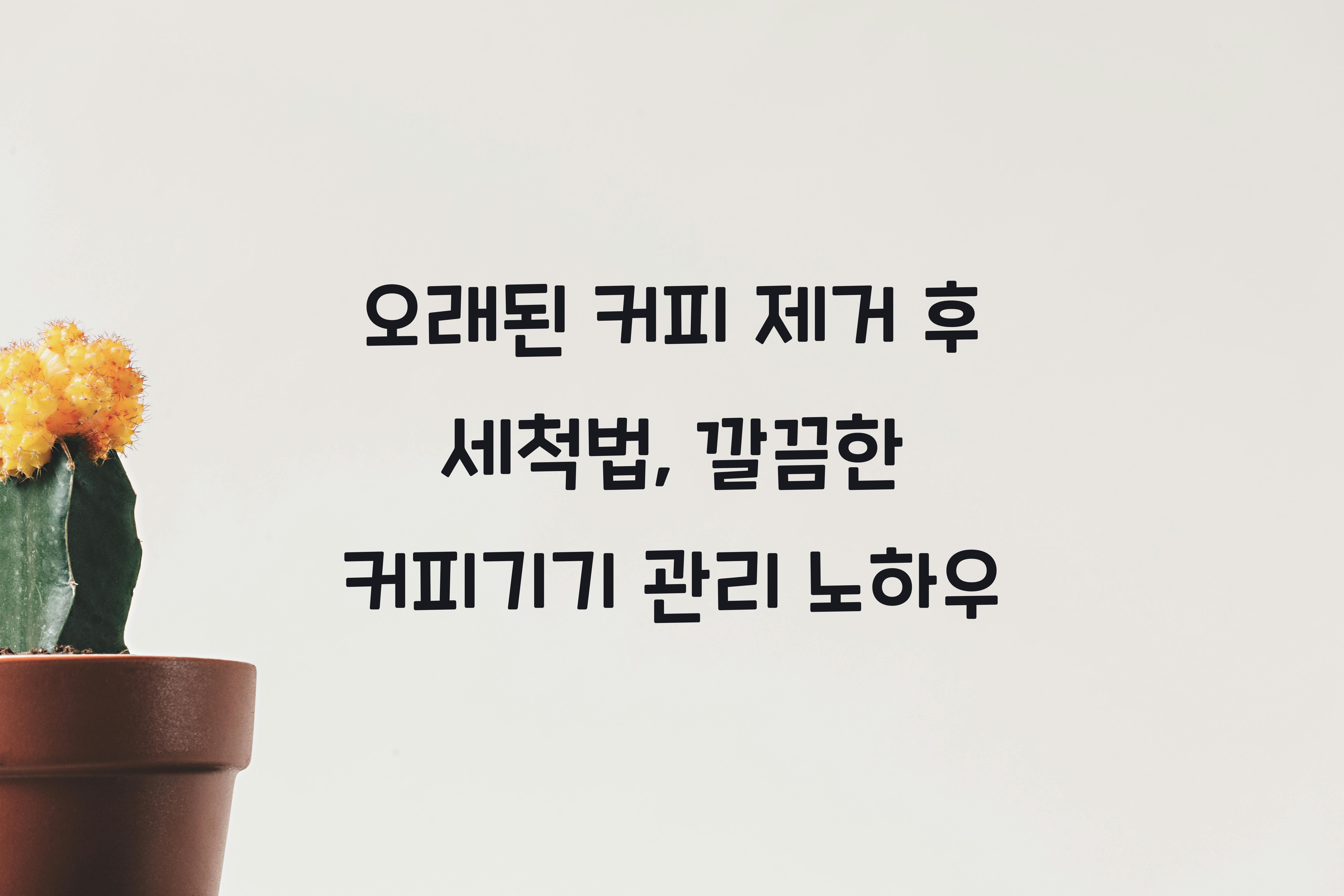 오래된 커피 제거 후 세척법