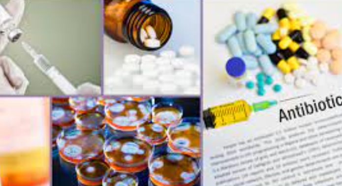 페니실린 이미지