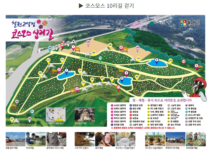 2025 철원DMZ국제평화마라톤 완벽 가이드: 평화의 길을 함께 달리다.