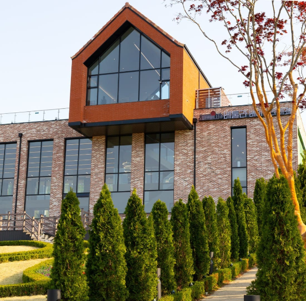 용인 자작나무숲