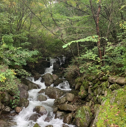 천동계곡05