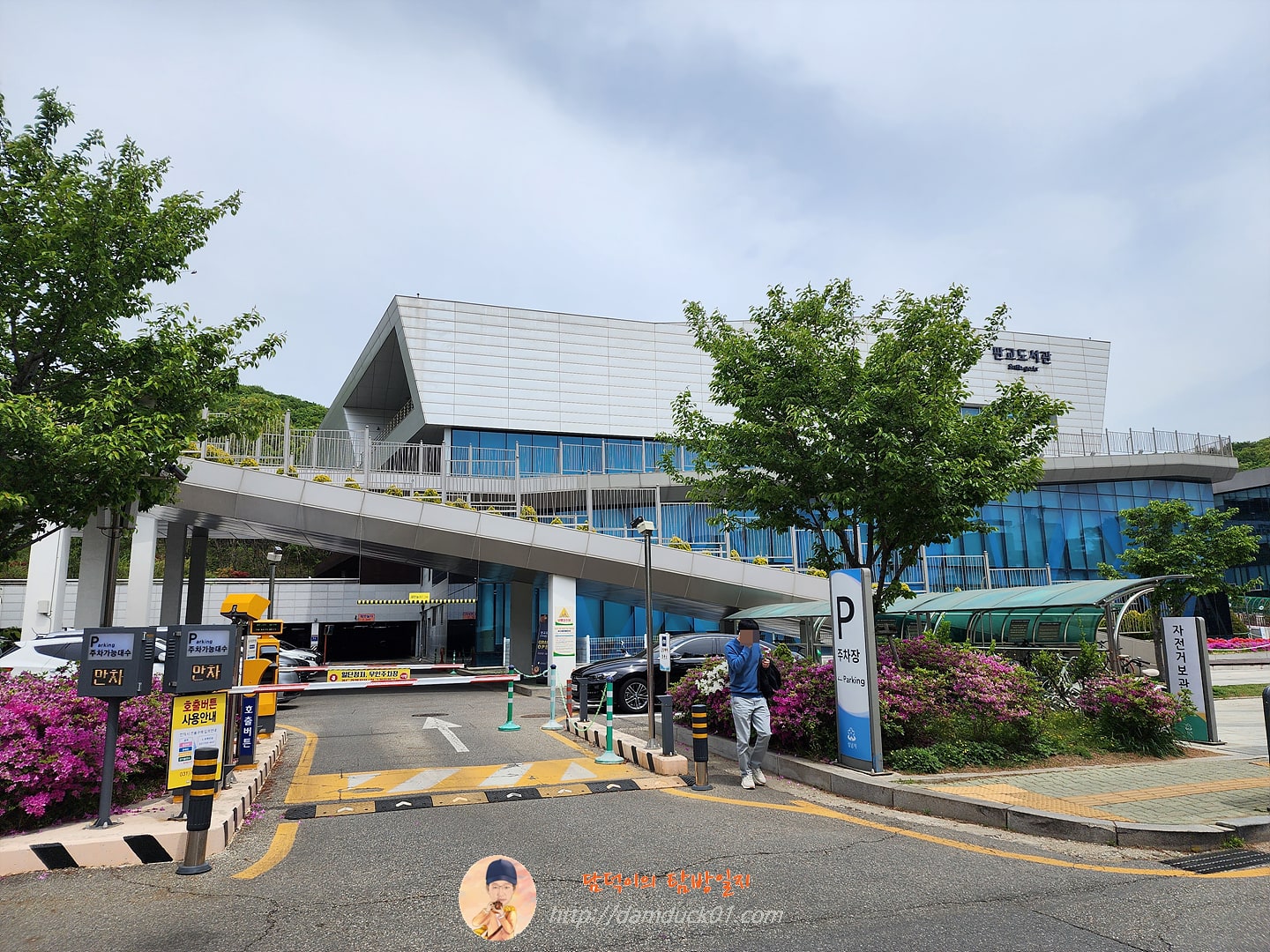 판교도서관