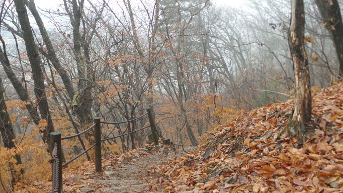 안개낀 산길,