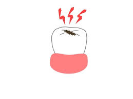 잇몸 염증 치료제 베스트 5