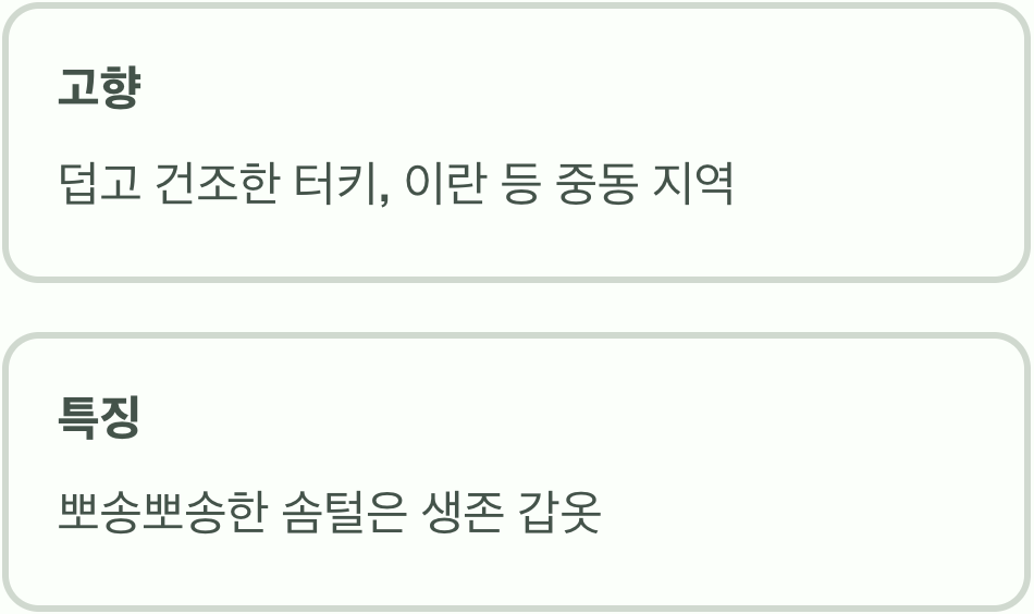 램스이어, 어떤 식물일까?