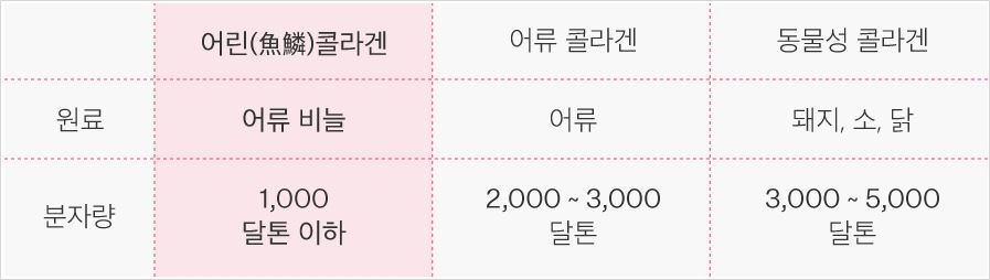 어린 콜라겐 추천