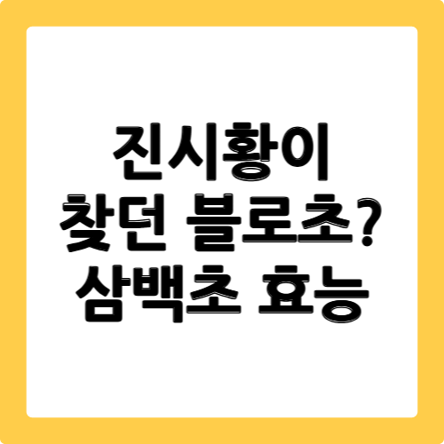 삼백초 효능