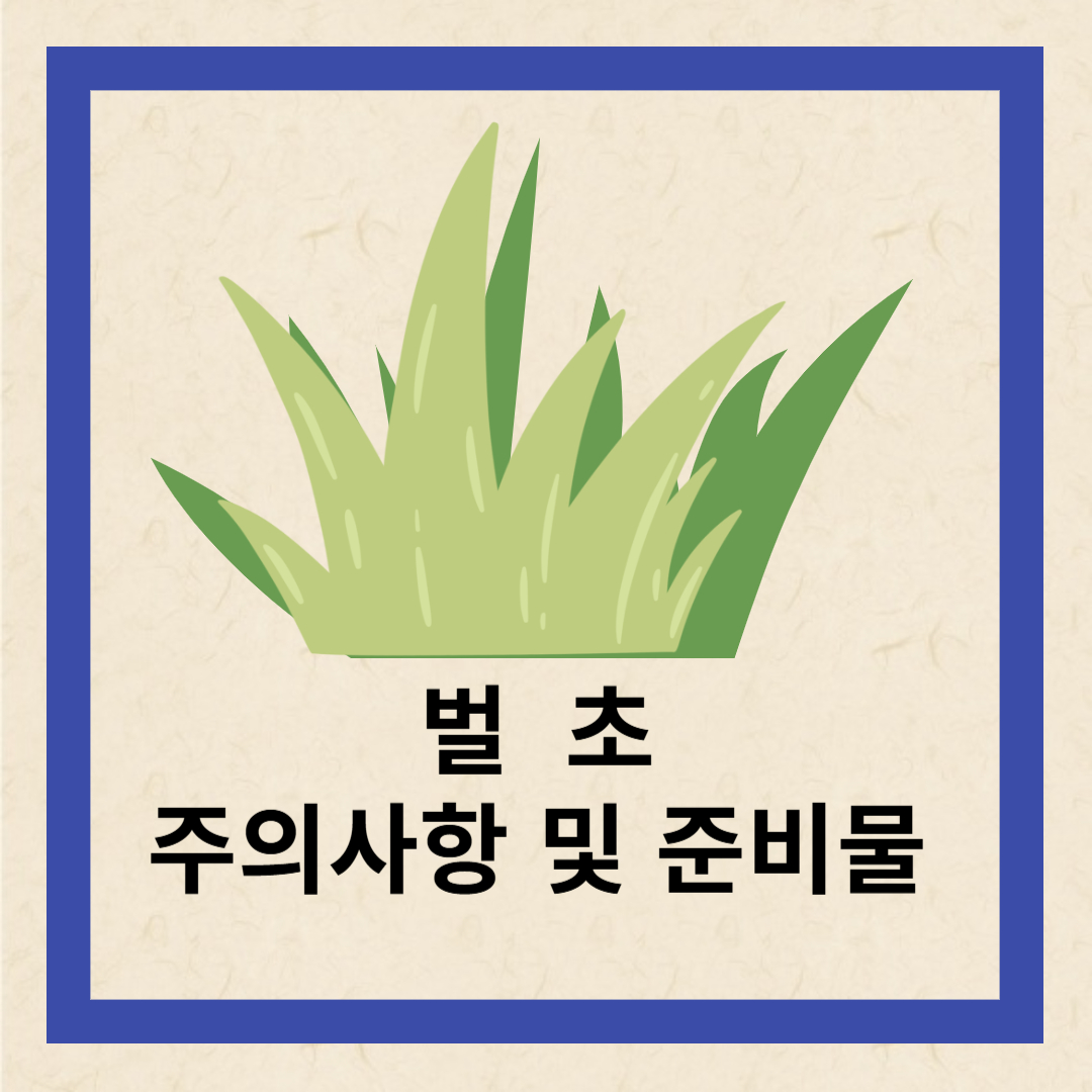 벌초 주의사항