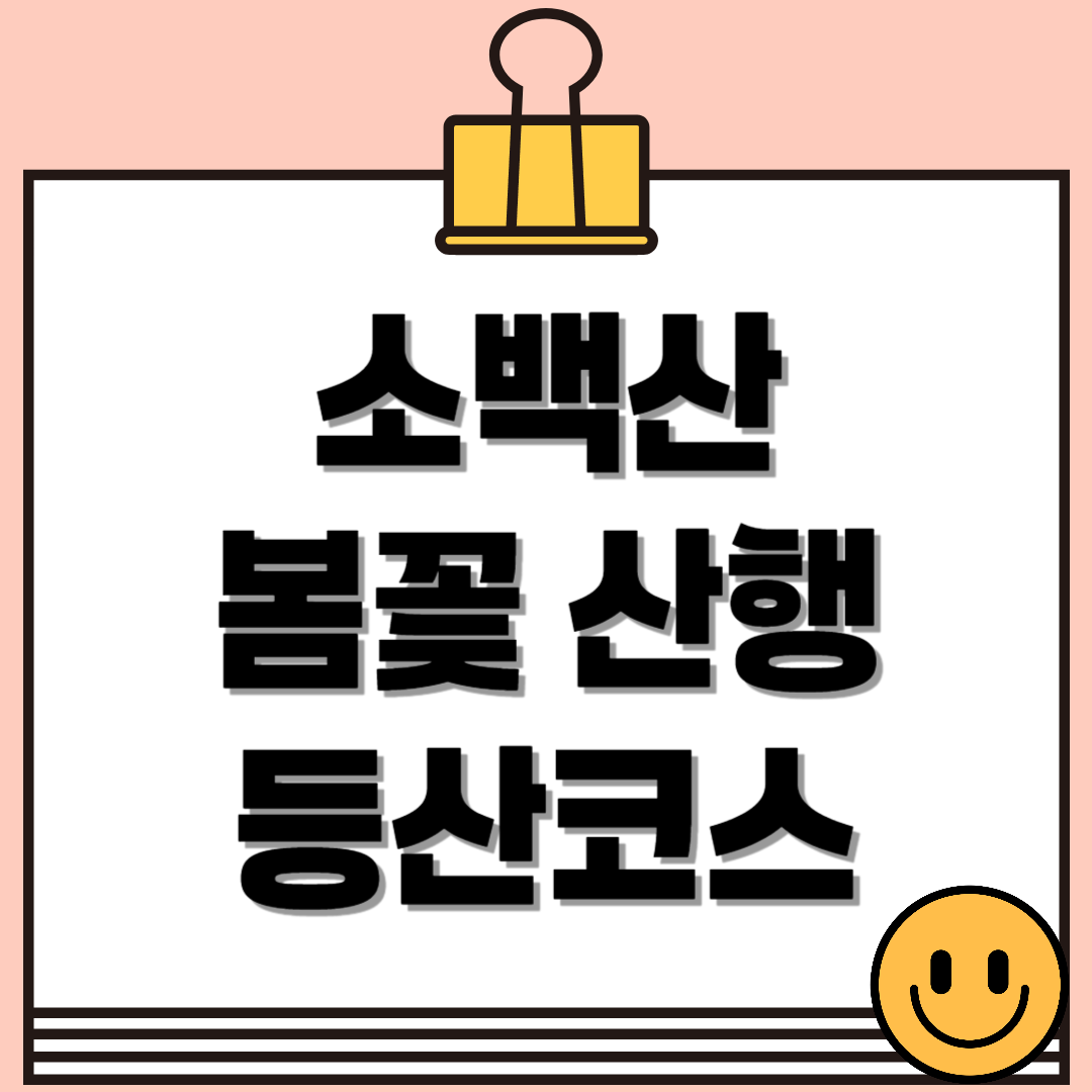 더보기
소백산 등산코스 - 철쭉과 야생화따라 걷는 봄꽃 산행🌸
