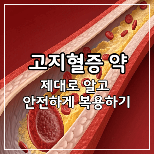 고지혈증약물바로알기-썸네일