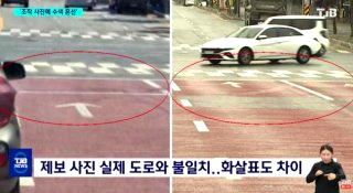 늑구 대전 오월드 탈출 수컷 늑대 청주 드론 수색