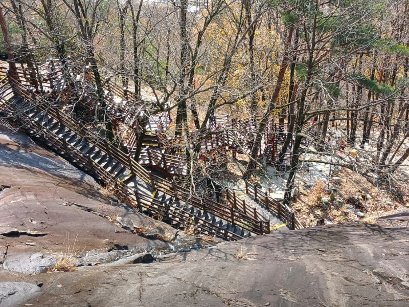 용궐산치유의숲