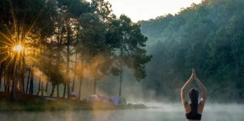 네빌고다드의리비전