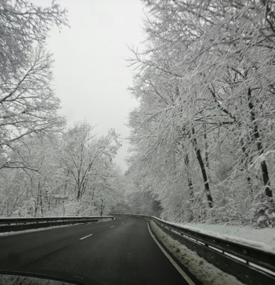 겨울 화천 얼음낚시·평창 송어·인제 빙어 축제
