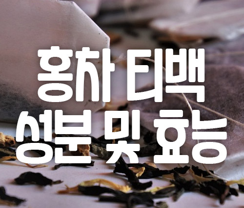 홍차 티백 성분 효능