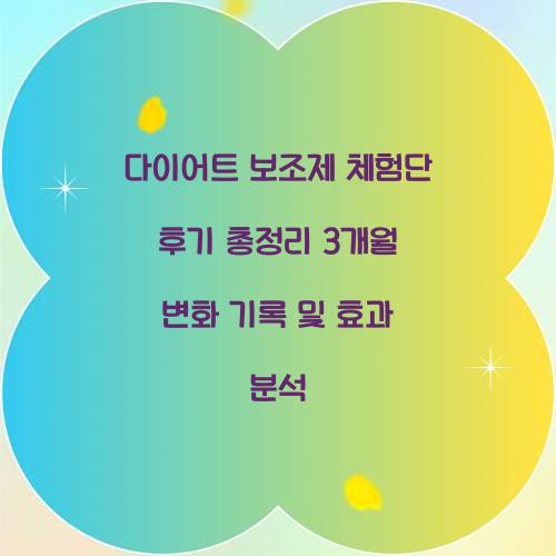 다이어트 보조제 체험단 후기 총정리