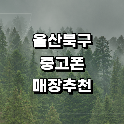 울산 북구 중고폰