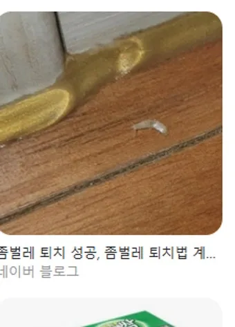 좀벌레 생기는 원인과 퇴치법 하얀벌레 제거 방법_21