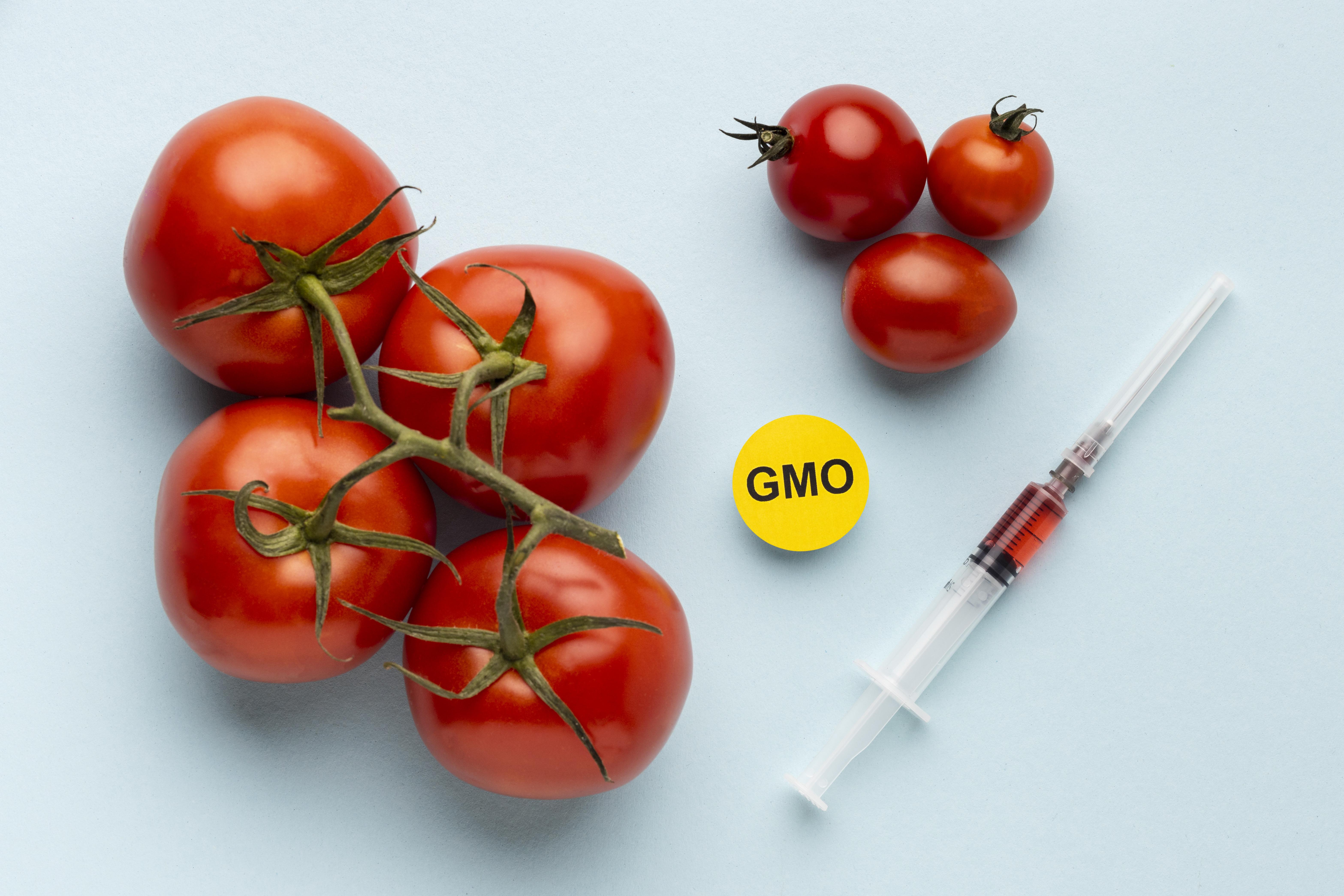 NON-GMO 식단