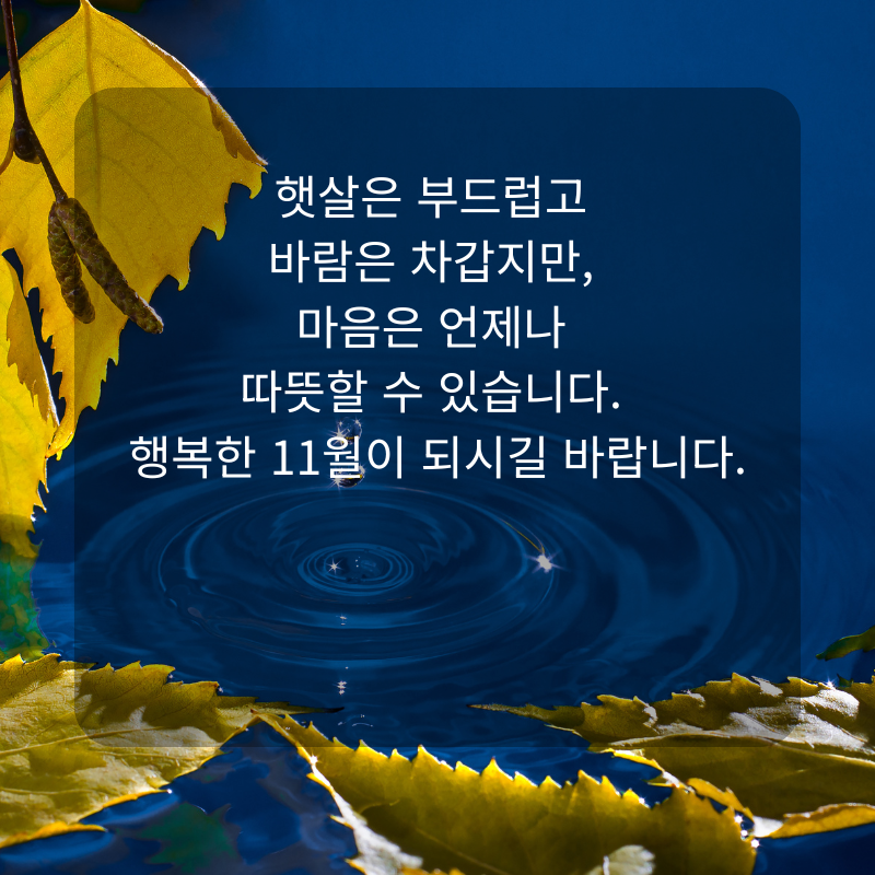 11월 인사말 문구 이미지 가을 겨울 인사글 모음집