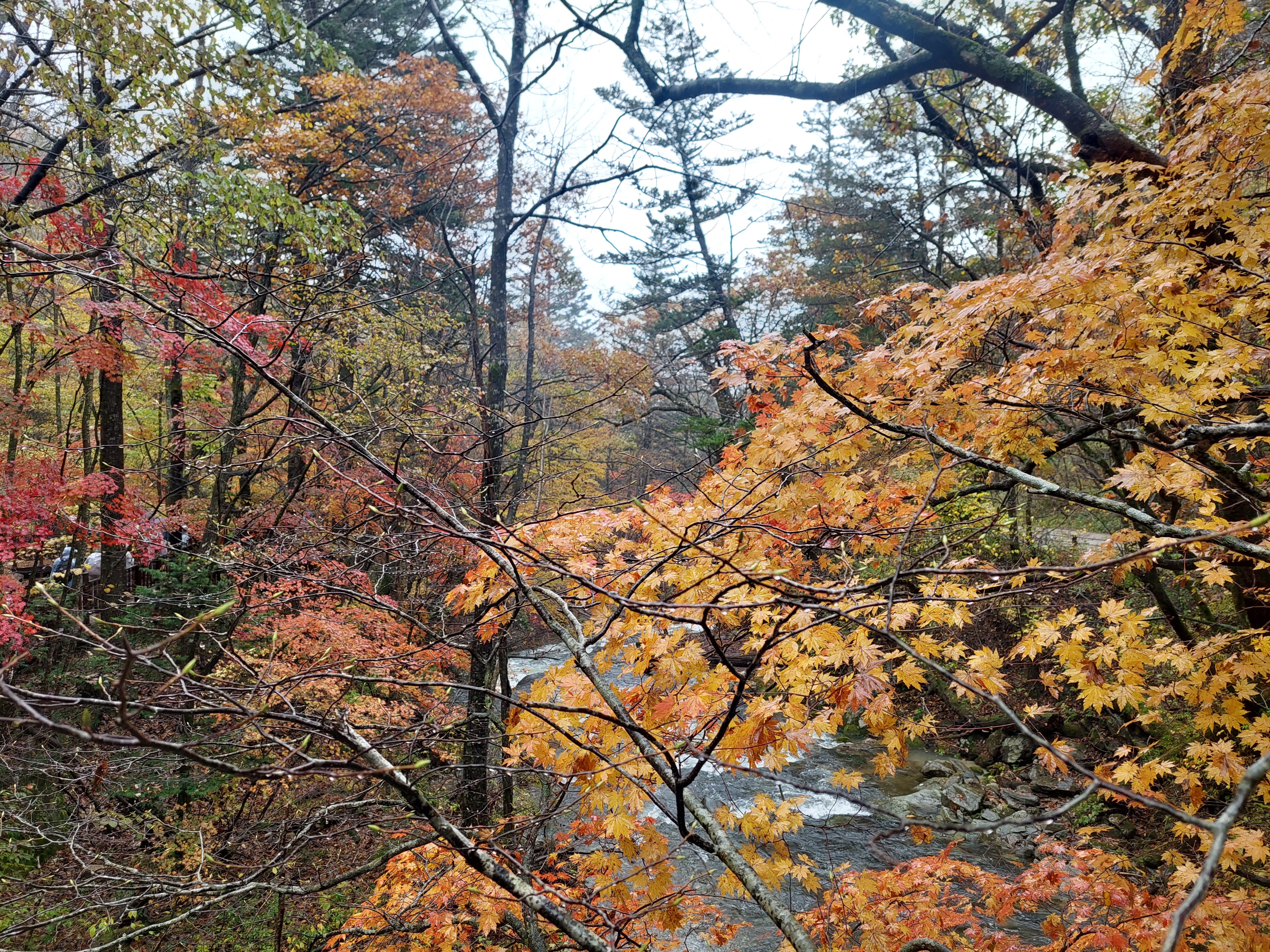 선재길