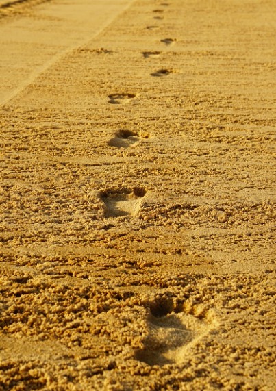 흙 길에 맨발로 걸어간 사람 발자국 사진