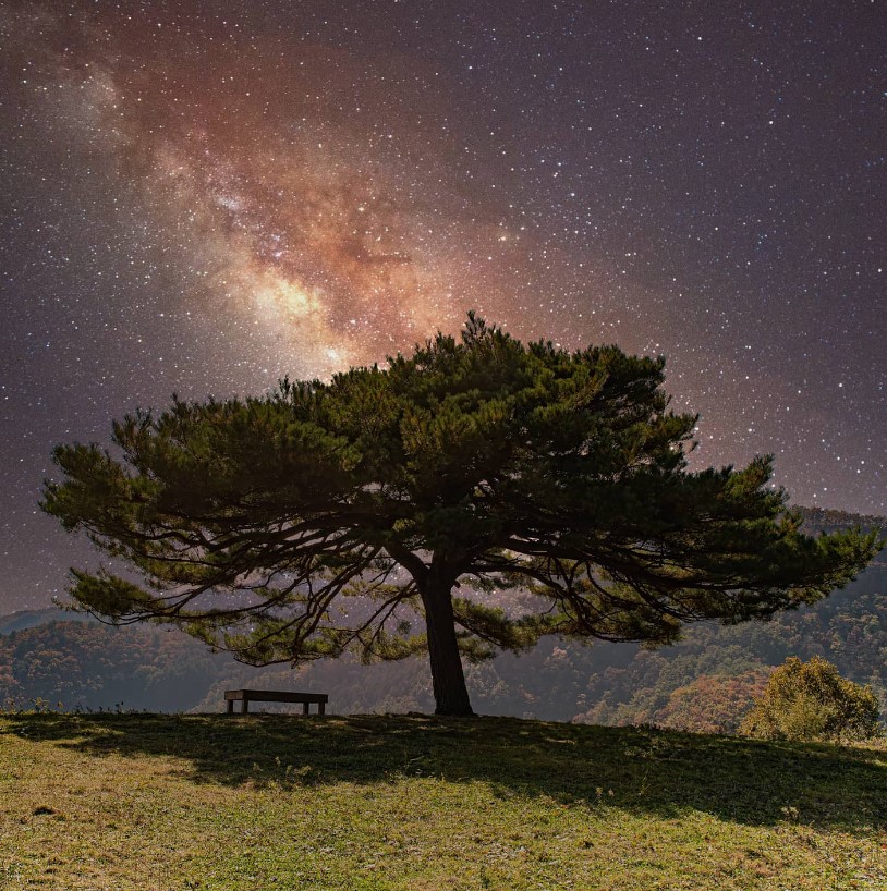 평창군 산너미목장 캠핑장 소개