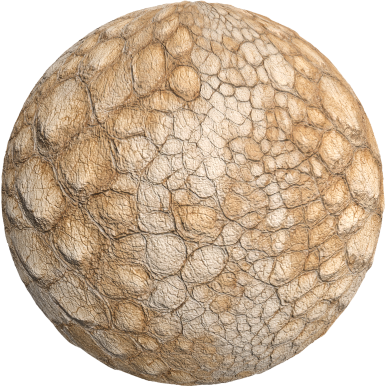 Scale texture for a dragon 4