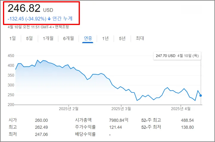 2025년 테슬라 주가 연중 하락 추세 그래프