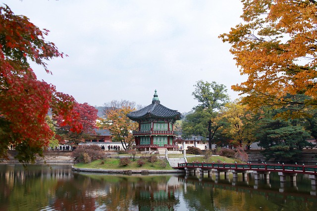 덕수궁 야간개장 관람 일정 요약