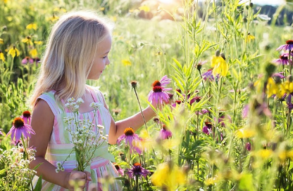 미스터트롯3 TOP7 갈라쇼 방송시간 출연진 
