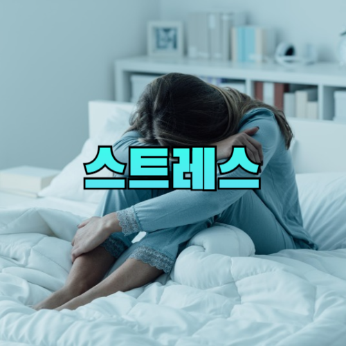 스트레스