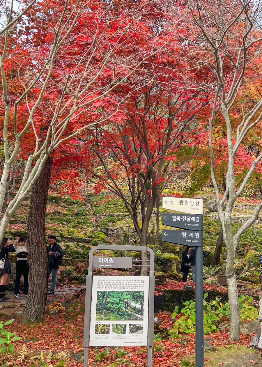 곤지암-화담숲-예약-전쟁-승리-2025년-최신-정보-총정리