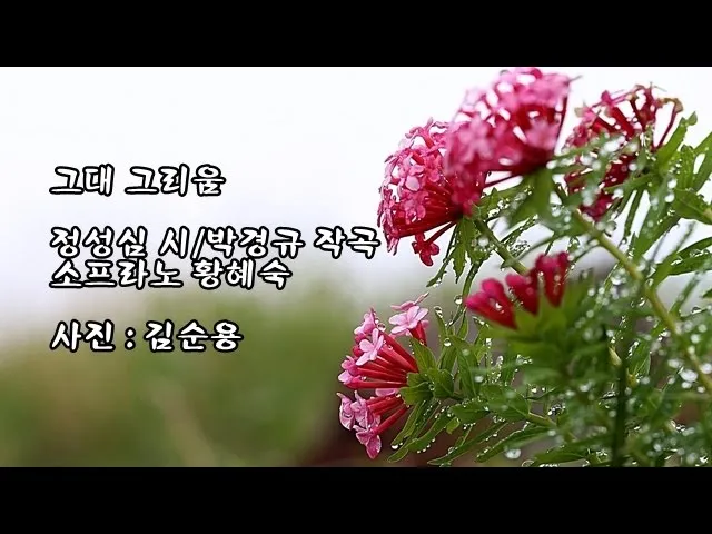 그대 그리움 정성심 작시 박경규 작곡 소프라노 황혜숙 완벽 성악 감상_1