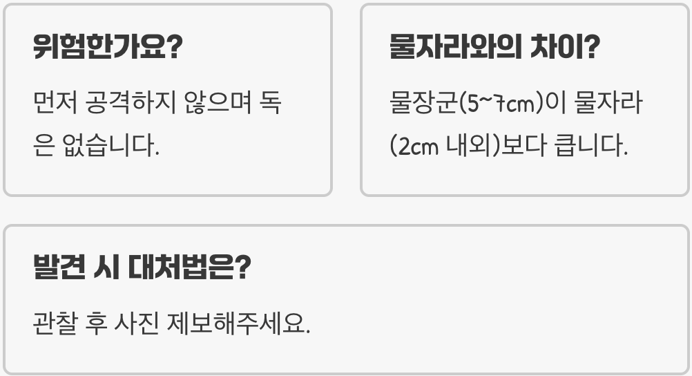 논의 제왕 물장군, 멸종위기종이 된 슬픈 이유와 복원 현황