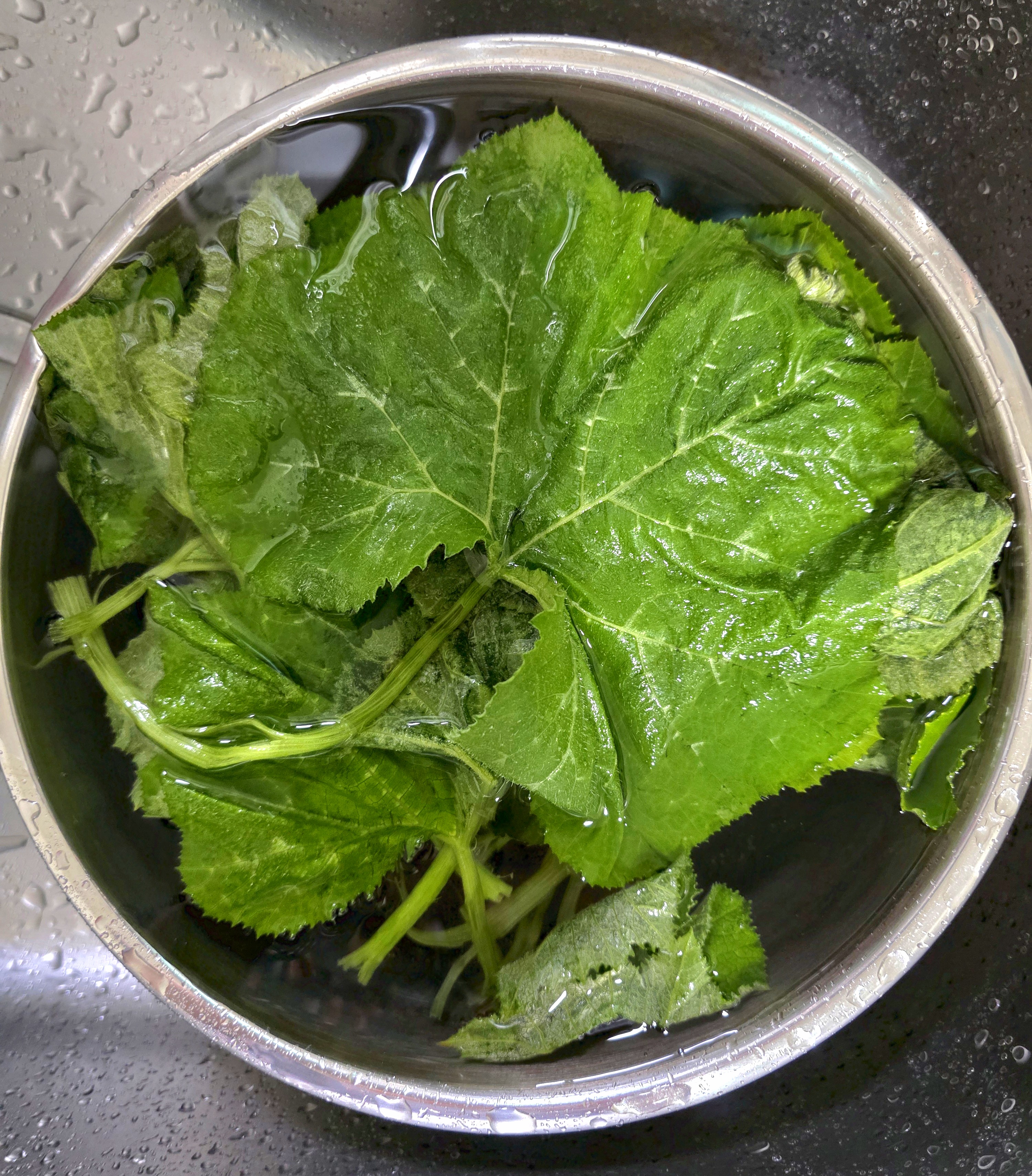 깨끗이-세척합니다.