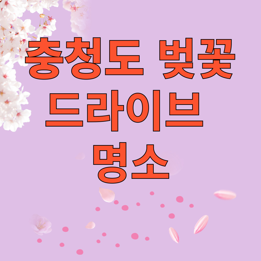 충청도 벚꽃 드라이브 명소