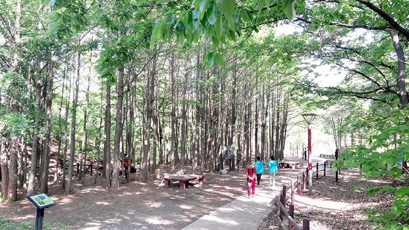 북한산둘레길(Bukhansan Dulegil) 마실길(Masilgil)