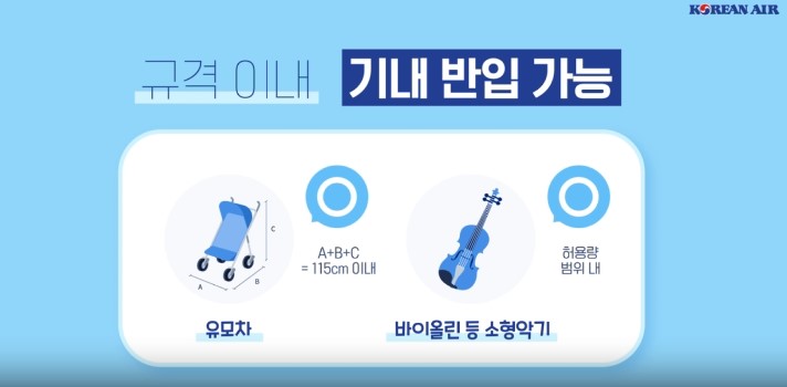 수하물 규정
