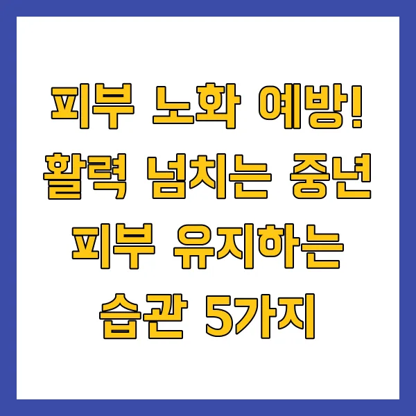 피부 노화 예방