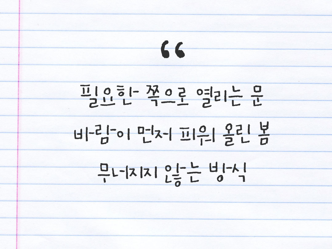 2026년 2월 26일 피어나네 감사노트|일상을 행복으로 바꾸는 기록 하루 3줄 감사일기