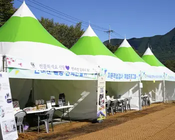 평창 백일홍 축제_19