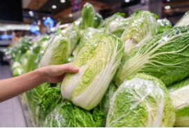 홈플러스 절임배추 예약