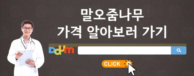 말오줌나무