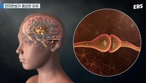 천자만보