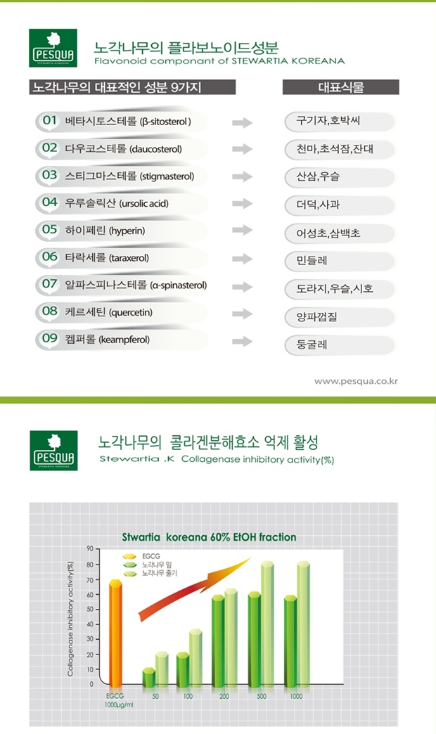 노각나무-성분